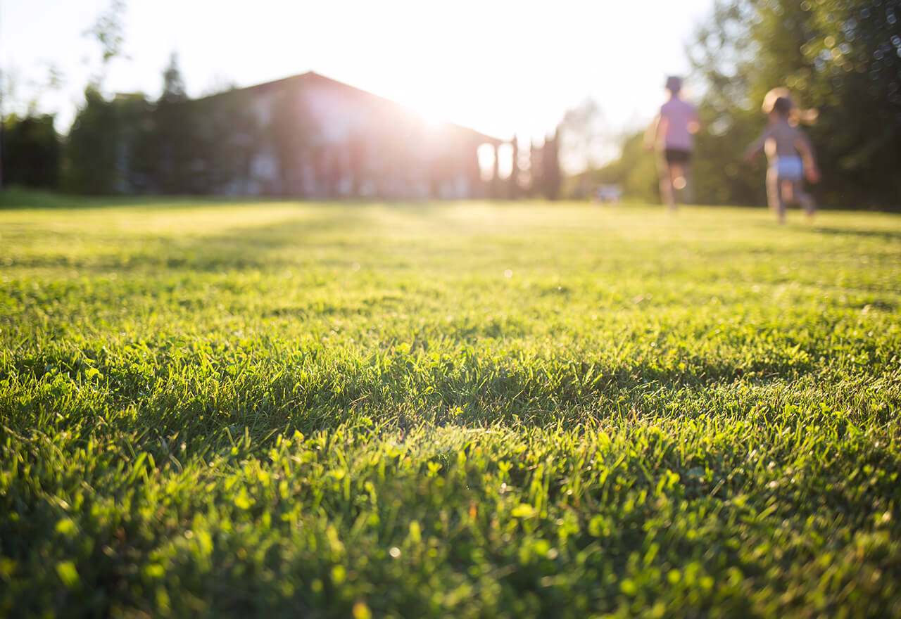 Kids Running Lawn Sunshine Web