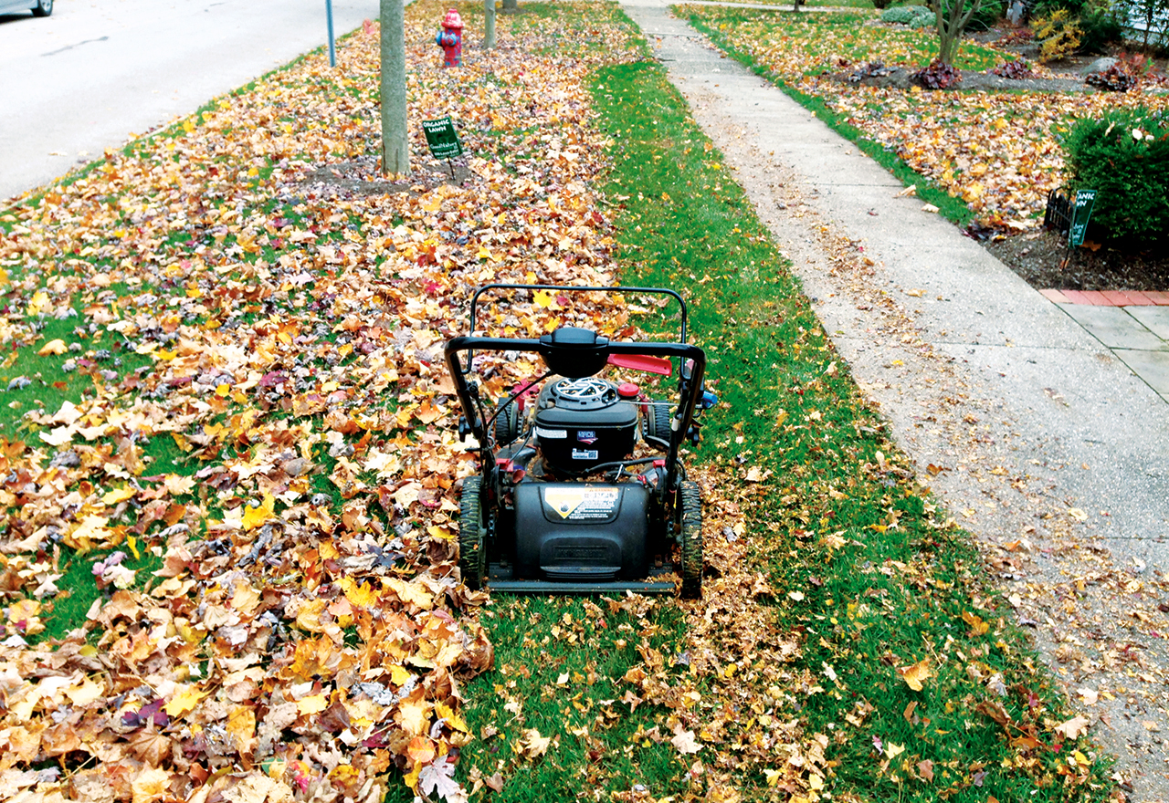 to rake