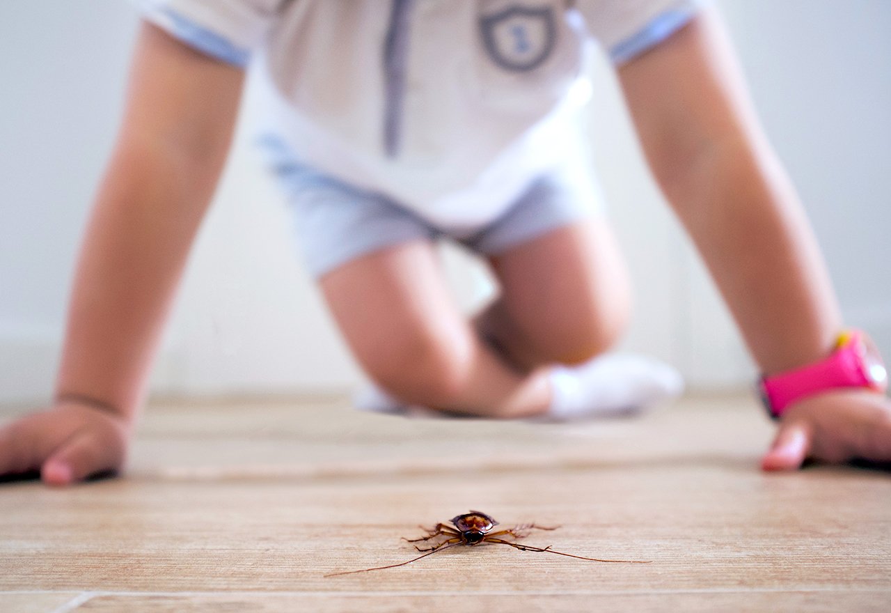 Маленькие изменения. Getting rid of insects in House. People Pests invade your Home. Pests at Home. PEOPLEPESTS that invade your Home.