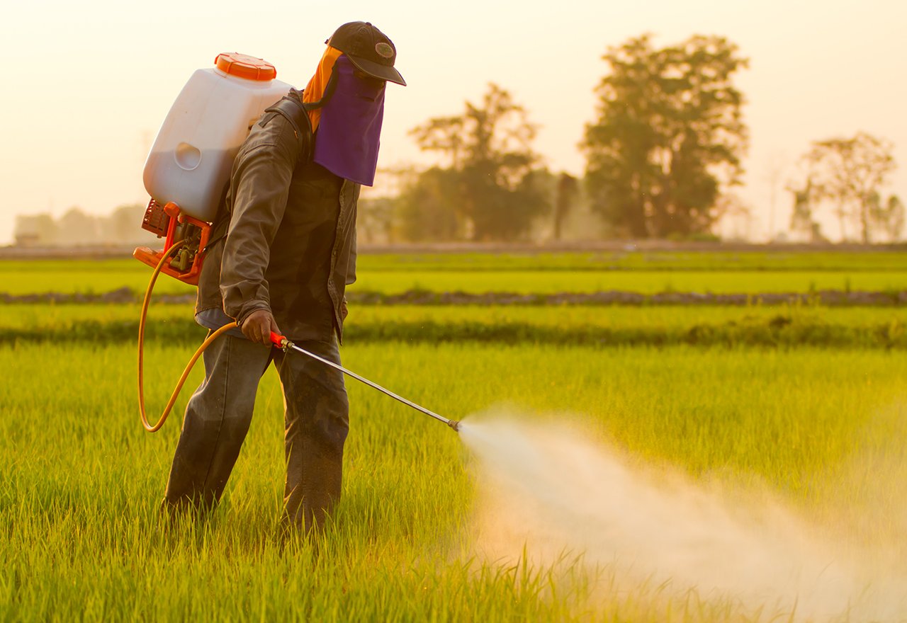 Spraying Pesticide